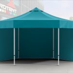 Petek__Kapatmalar__0002